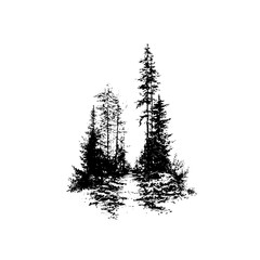 Black and white forest illustration with tall pine trees and nature landscape vector graphic design