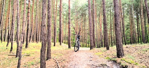 trasa rowerowa r10 z krynicy morskiej do mikoszewa nad morzem przez jantar sztutowo stegna  © mobile