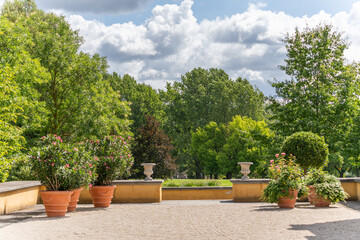 A sunny terrace with terracotta pots filled with blooming oleander, surrounded by lush green trees....