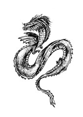 Obraz premium Hand drawn dragon zodiac sign illustration, horoscope background.