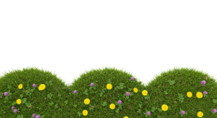 Pristine green grass border with yellow dandelions and purple clover, isolated on white background, high-key studio top-down with copy space. Concept of organic purity and natural growth