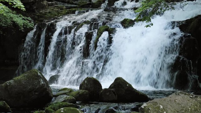 Waterfall with a Large Volume of Water Found Deep in a Virgin Forest | Tateshina Otaki Waterfall, Nagano, Japan