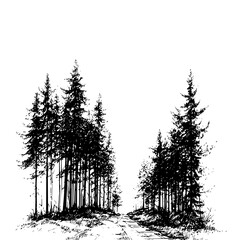 Black and white forest landscape drawing with pine trees and path illustration for print and design use
