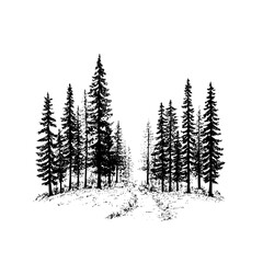 Black and white forest illustration with pine trees and nature scene for print and digital design use case