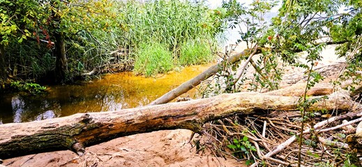 morze trasa rowerowa mikoszewo jantar sztutowo stegna krynica morska woda 