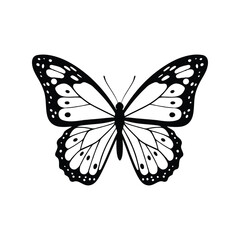 Elegant black and white butterfly outline drawing, nature, insect, spring, decorative, freedom, beauty