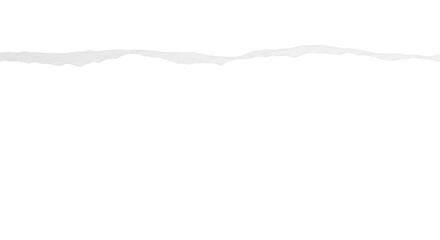 Torn piece of paper edge for a design element isolated PNG with Transparent Background