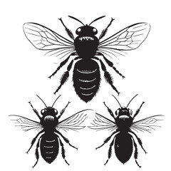 black bees Silhouette Vector, High Quality Illustration on White Background