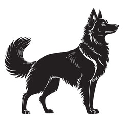 black aussie Silhouette Vector, High Quality Illustration on White Background
