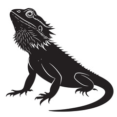 black beardeddragon Silhouette Vector, High Quality Illustration on White Background