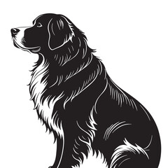 black bernese mountain dog Silhouette Vector, High Quality Illustration on White Background