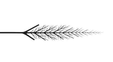 Abstract dark lines forming intricate, precise branching network on a pristine transparent background with diffused studio lighting, high-key effect, embodying strategic growth and innovation concept