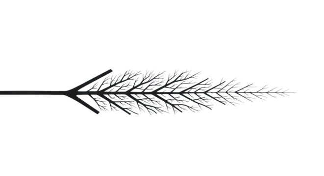 Abstract dark lines forming intricate, precise branching network on a pristine transparent background with diffused studio lighting, high-key effect, embodying strategic growth and innovation concept