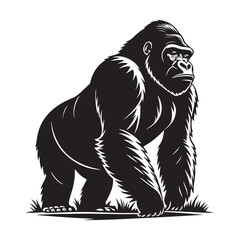 Animal vector illustration featuring wild mammal silhouettes gorila  in black strong design style