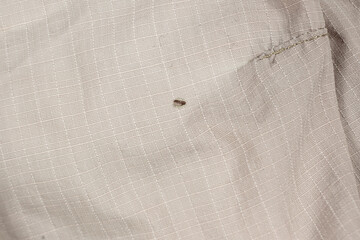 Macro Shot of a Hole in a Textile Surface.