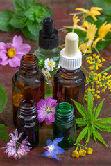 Oils and herbs on wood surface