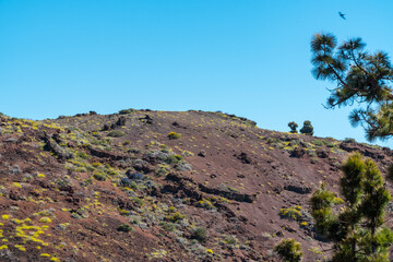 Llano de Las Ánimas - La Palma