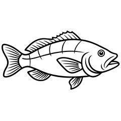 Grouper line art vector