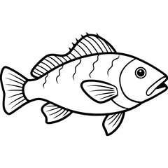 Grouper line art vector