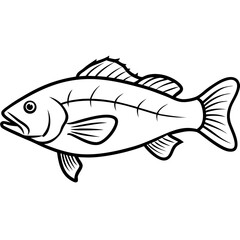 Grouper line art vector