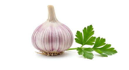 Fresh Garlic Bulb and Parsley Isolated on White.