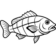Grouper line art vector