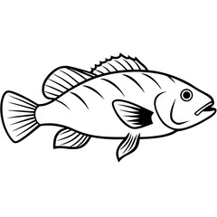 Grouper line art vector