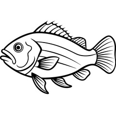Grouper line art vector