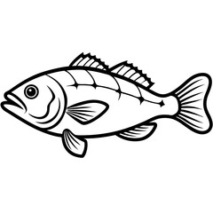 Grouper line art vector