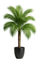 Obraz premium Tall fake palm tree in a black pot indoors.