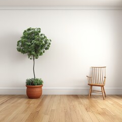 Empty room with tree and chair