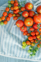 many ripe cherry tomatoes on table, fabric background. Fresh picking tomatoes. gardening vegetable harvest season. cultivation of useful healthy Organic vegetables. top view. copy space
