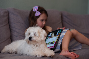 Beautiful little white girl and her white puppy are sitting on the sofa in the room. The girl is looking at the tablet, and the dog is lying next to her. Cozy home atmosphere of life with pets