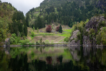 Fototapeta premium Reflection of green mountains and trees in calm water under cloudy skies in a serene landscape