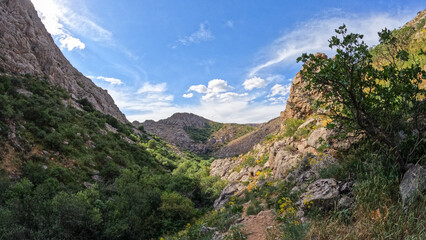 rocky mountain peaks. dolomites. summer in the mountains