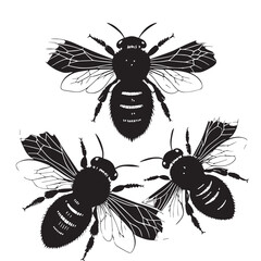 black bees Silhouette Vector, High Quality Illustration on White Background