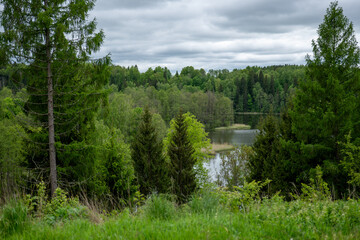 Fototapeta premium Lush green forest landscape with a tranquil lake under a cloudy sky in springtime