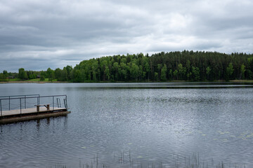 Calm lake reflects overcast sky with lush trees lining the shore in serene natural landscape