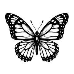 Handdrawn detailed butterfly with ornate wings symbol of pollinators - insect biodiversity - wildlife conservation - garden ecology - environmental education