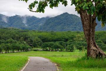 A close-up view of the natural atmosphere surrounded by mountains, grasslands and mist from the cold, humid air. The joy of traveling and experiencing nature.