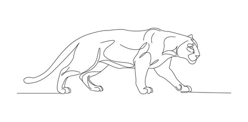 jaguar,animal,lineart flat single continuous line art drawing vector illustration of a wild jaguar or leopard walking on white background
