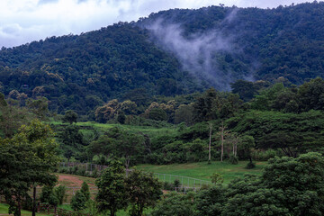 Fototapeta premium A close-up view of the natural atmosphere surrounded by mountains, grasslands and mist from the cold, humid air. The joy of traveling and experiencing nature.