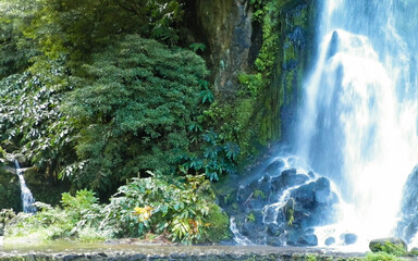 Waterfall in tropical forest. Azores Archipelago.