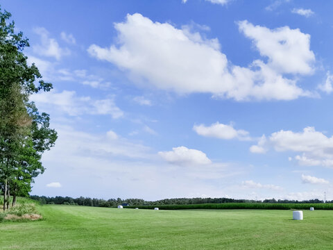 Sheaves of hay in the field.