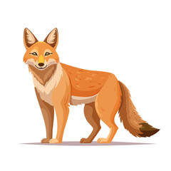 Obraz premium Cartoon Coyote Illustration Woodland Wildlife Wild Animal Portrait Vector Art