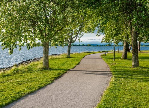 Lakeside Pathway at swedish Vattern lake with Greenery and trees - Powered by Adobe