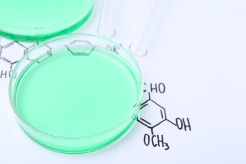 Petri dishes of samples and test tubes on paper with chemical formulas, closeup. Space for text