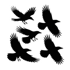 Obraz premium Stylized Crow Silhouettes: Dark, Mystical, Flight Pattern, Graphic Art, Vector Illustration.