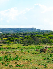 Nature 2000 area on Marfa Peninsula Malta.