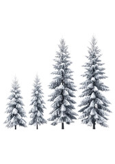 Obraz premium Five individual pine trees of varying heights, meticulously covered in transparent snow, showcasing distinct evergreen forms against a clean, seamless, stark transparent studio background, creating